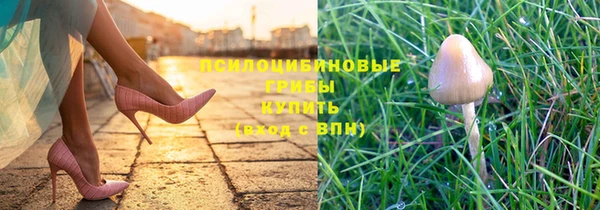 Альфа ПВП Волосово