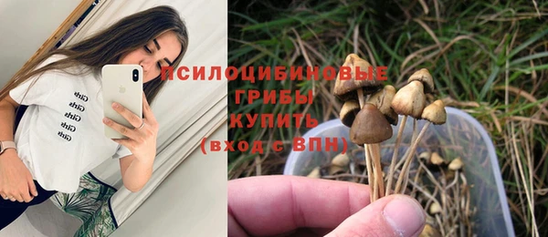 трава Волоколамск