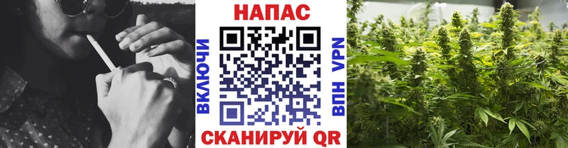 ссылка на мегу зеркало  Карабаново  Бошки марихуана планчик 